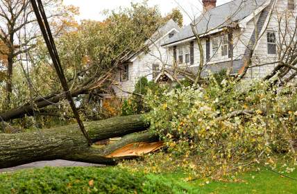 Storm damage restoration in La Coste by Complete Clean Water Extraction