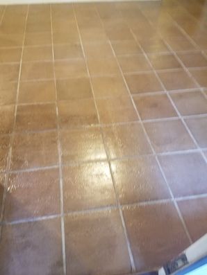 Satillo Tile cleaning in Hollywood Park Tx (4)