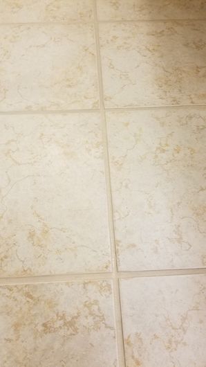 Grout Color Sealing in Cibolo TX (2)