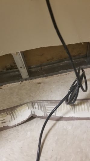 Water Damage Remediation in San Antonio, TX (4)