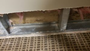 Water Damage Remediation in San Antonio, TX (5)