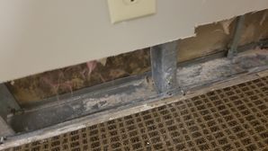 Water Damage Remediation in San Antonio, TX (6)