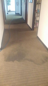 Commercial Carpet Cleaning