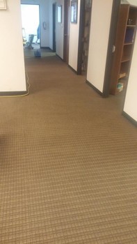 Commercial Carpet Cleaning