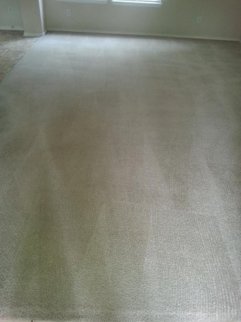 After Carpet Cleaning in San Antonio, TX