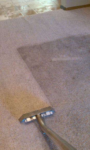 Carpet Cleaning