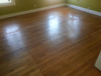 Wood Floor Cleaning in Olmos, TX