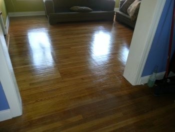 Wood Floor Cleaning in Olmos, TX