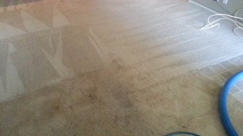 Carpet Cleaning by Complete Clean Water Extraction