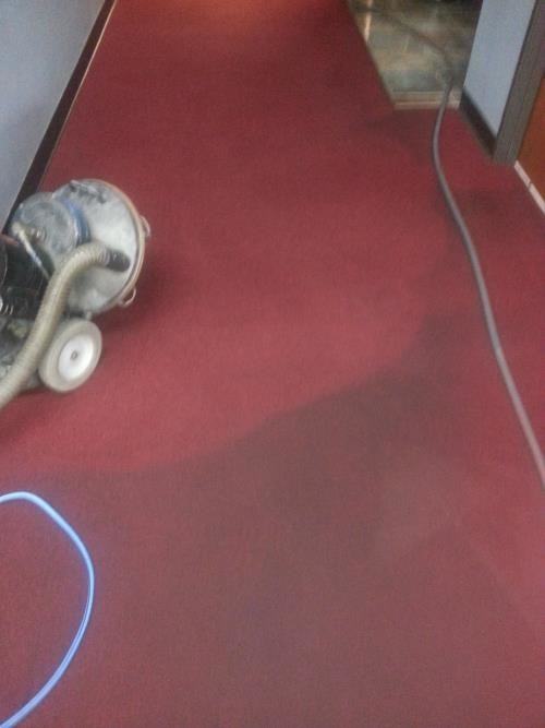 Commercial Carpet Cleaning at Fitness 19 in TX by Complete Clean Water Extraction