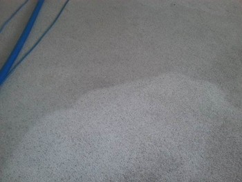 Carpet Cleaning in San Antonio, TX