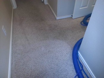 Carpet Cleaning in San Antonio, TX