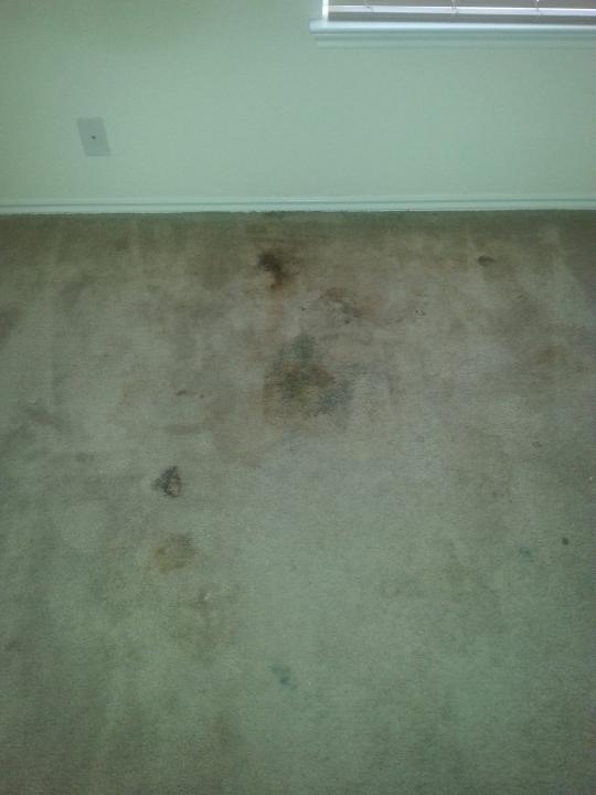 Before and After Mold Stain Removal in Converse, TX