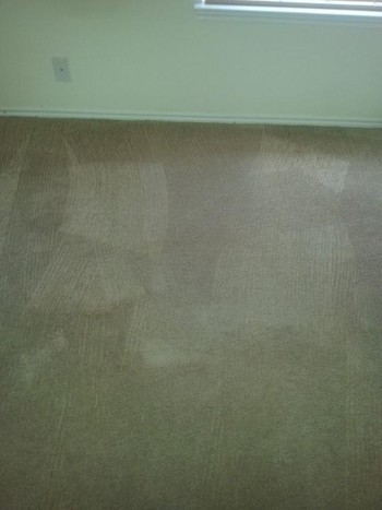 Before and After Mold Stain Removal in Converse, TX