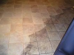 Tile & Grout Cleaning