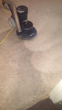 Deep Carpet Cleaning in San Antonio, TX