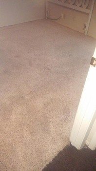 Deep Carpet Cleaning in San Antonio, TX