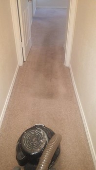 Carpet Restoration in Schertz, TX