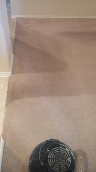 Carpet Restoration in Schertz, TX