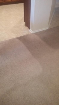 Carpet Restoration in Schertz, TX