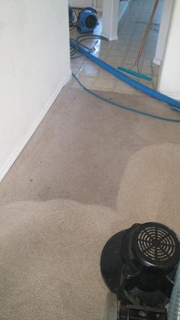 Carpet Restoring in South San Antonio, TX