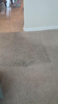 Carpet Cleaning at Wilshire Homes in San Antonio, TX