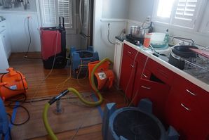 Wood floor Rescue Dry Out in Alamo Heights, TX (5)