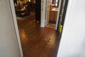 Water Damage Restoration in San Antonio, TX (2)