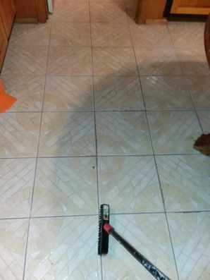 Color Grout Sealing in Windcrest, TX (2)