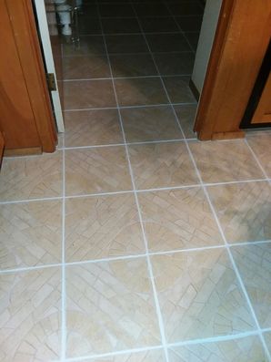 Color Grout Sealing in Windcrest, TX (8)