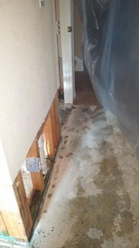 Water Damage Restoration by Complete Clean Water Extraction in San Antonio, TX