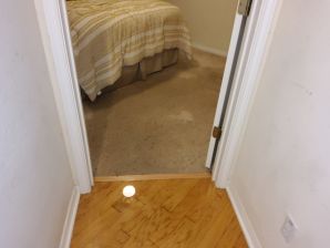 Water Damage Restoration in San Antonio, TX (5)