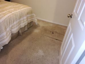 Water Damage Restoration in San Antonio, TX (3)