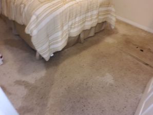 Water Damage Restoration in San Antonio, TX (4)