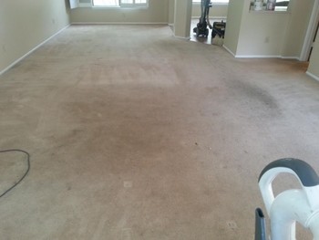 20 Year old Carpet Cleaning in San Antonio