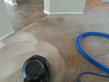 20 Year old Carpet Cleaning in San Antonio