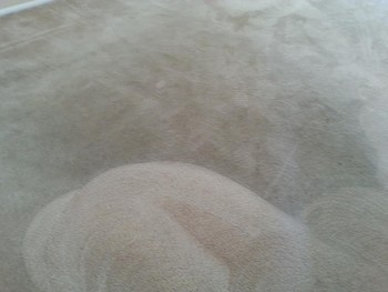 20 Year old Carpet Cleaning in San Antonio