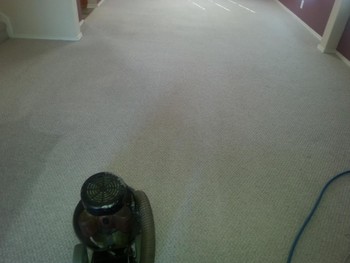 Berber Carpet Cleaning in New Bruansfel TX