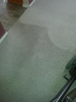 Berber Carpet Cleaning in New Bruansfel TX