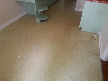 Floor Restoration in San Antonio Tx