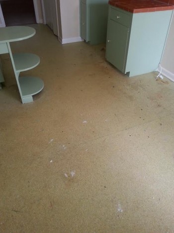 Floor Restoration in San Antonio Tx