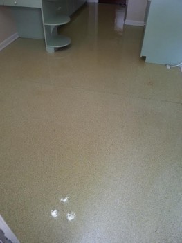 Floor Restoration in San Antonio TX